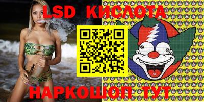 ECSTASY Канаш