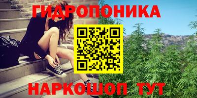 бошки Камышлов