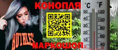 ECSTASY Канаш