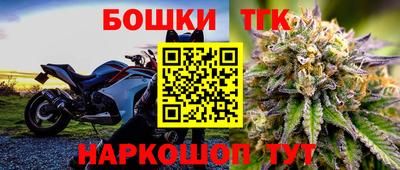 бошки Камышлов